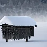 Alpenrose Burger Evelin Sankt Anton am Arlberg